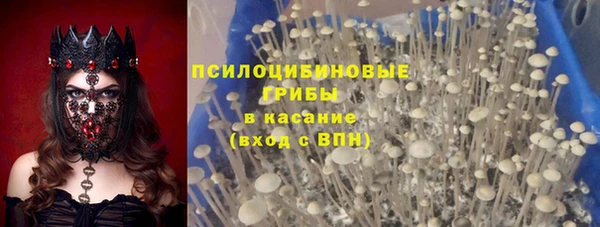 первитин Абаза