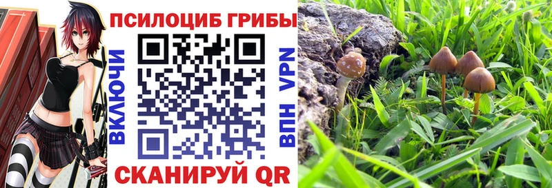 KRAKEN как зайти  Чулым  Псилоцибиновые грибы GOLDEN TEACHER 